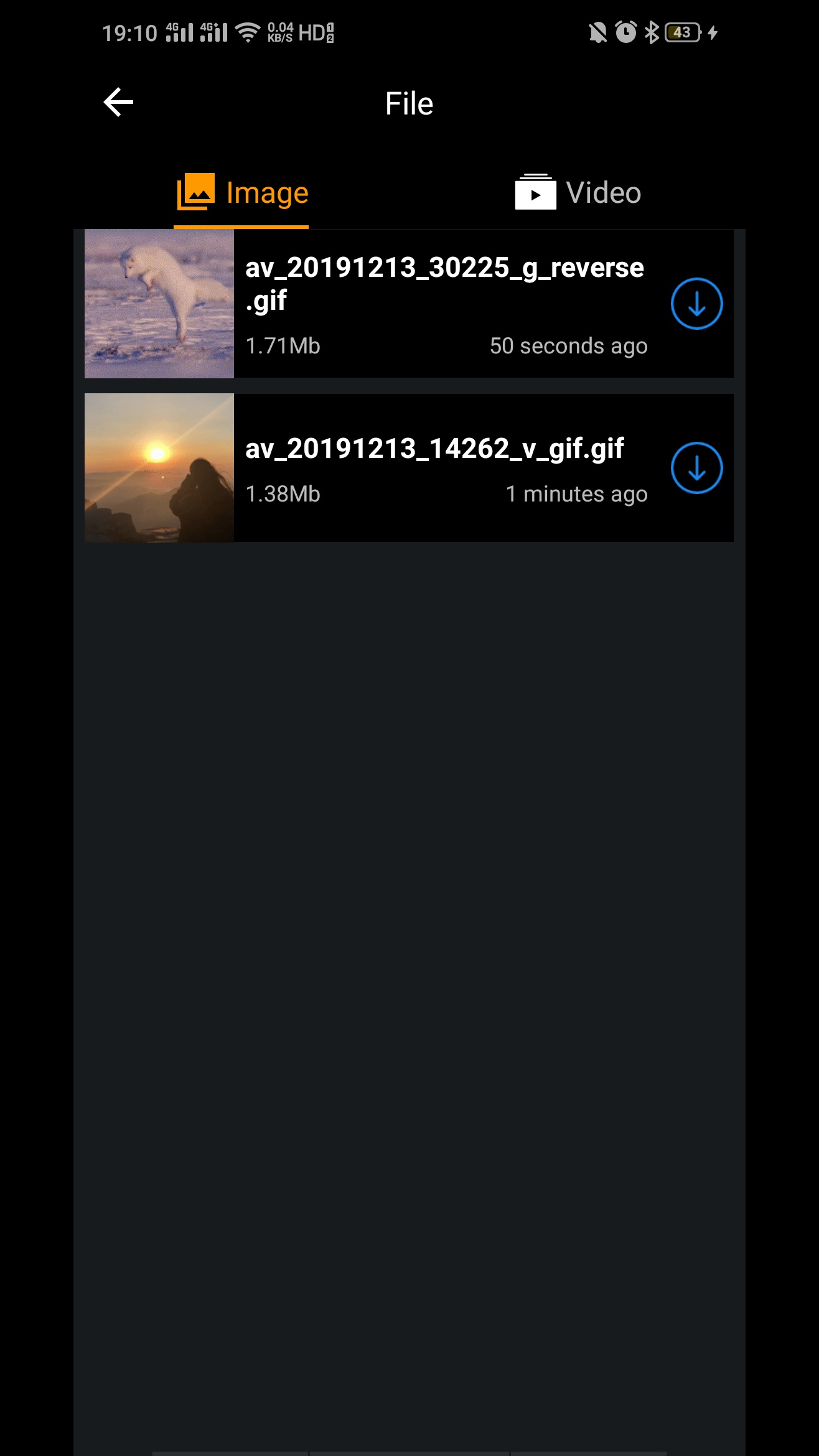 GIF V1.0 ׿