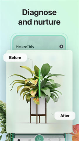 PictureThis V2.6.11 ׿