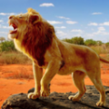 狮子王模拟器安卓版游戏下载