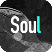 Soul V1.0 ׿