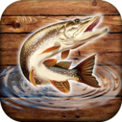 鱼雨钓鱼模拟器安卓版游戏下载