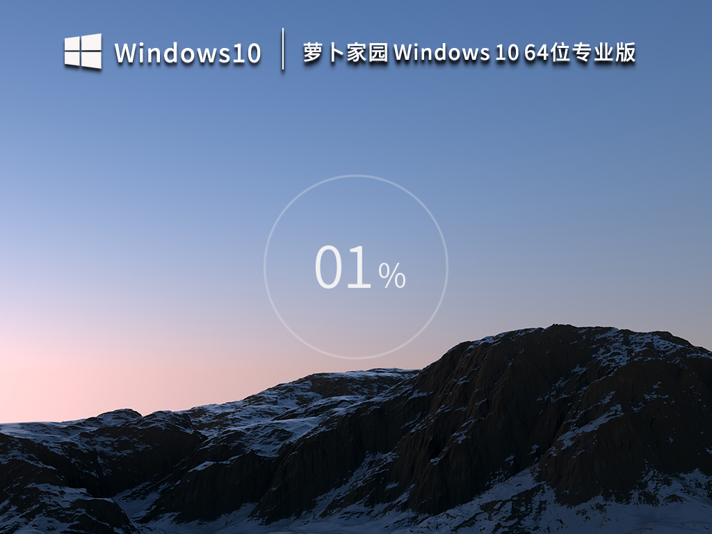 萝卜家园Windows10系统64位专业版