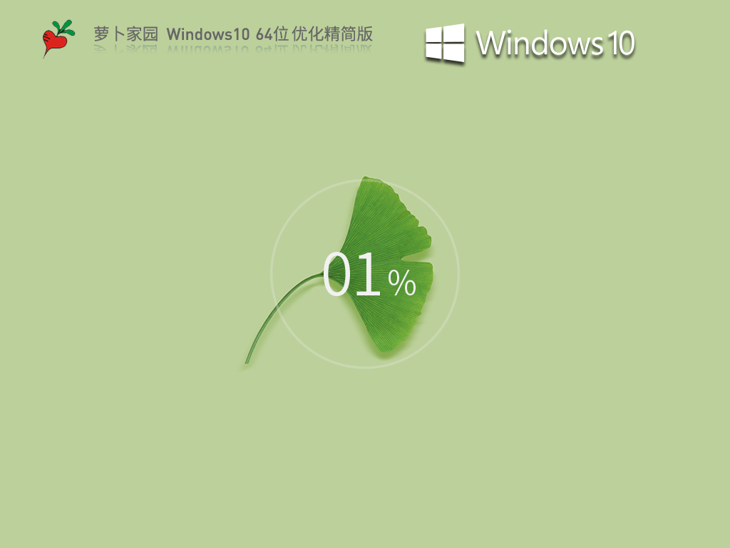 萝卜家园Windows10系统64位优化精简版