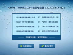 GHOST WIN8.1 X64 װרҵ V2020.0264λ