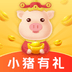 小猪有礼 V1.0 安卓版