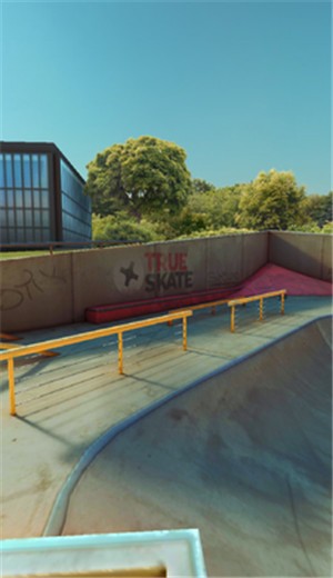 True Skate V1.5.30 ׿